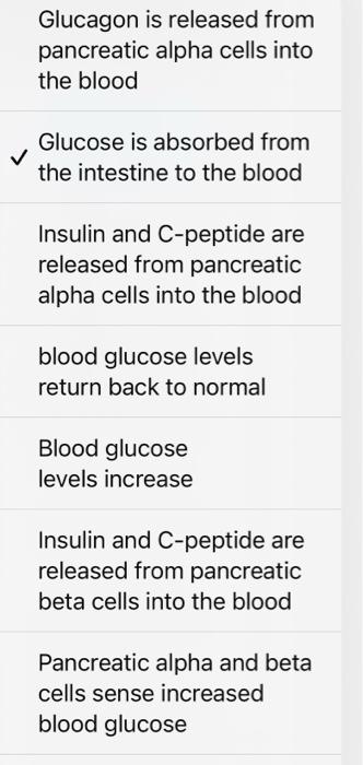 Put The Following Steps Involved In Blood Glucose Regulation In Order Starting With Ingesting A Sugar Containing Meal S 2