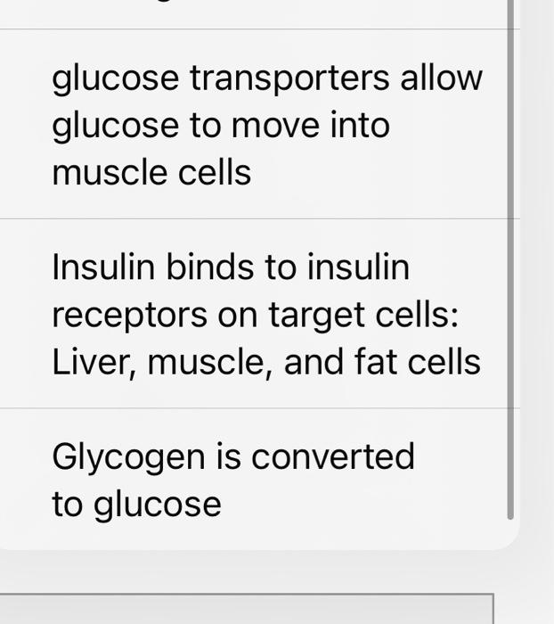 Put The Following Steps Involved In Blood Glucose Regulation In Order Starting With Ingesting A Sugar Containing Meal S 3