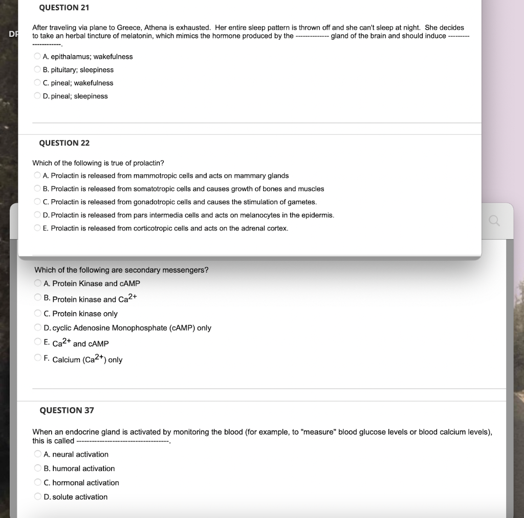 Question 21 Dr After Traveling Via Plane To Greece Athena Is Exhausted Her Entire Sleep Pattern Is Thrown Off And She 1