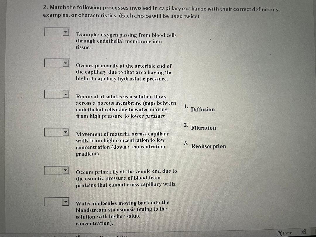 2 Match The Following Processes Involved In Capillary Exchange With Their Correct Definitions Examples Or Characteris 1