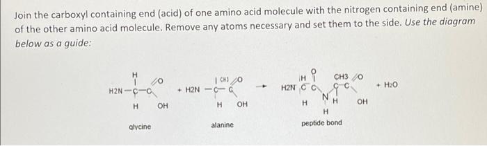 Join The Carboxyl Containing End Acid Of One Amino Acid Molecule With The Nitrogen Containing End Amine Of The Other 1