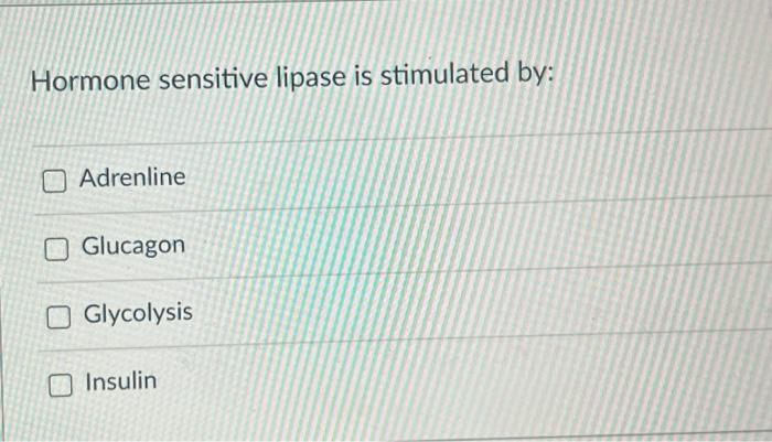 Hormone Sensitive Lipase Is Stimulated By Adrenline Glucagon Glycolysis Insulin 1