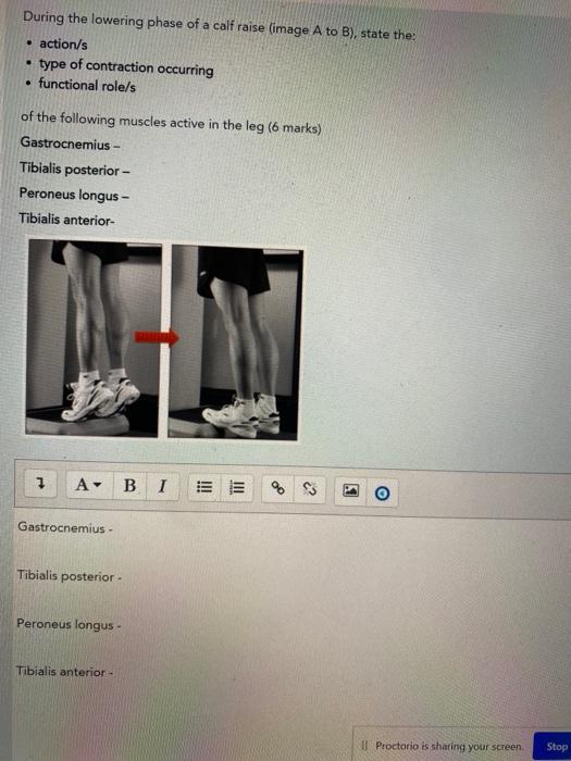 During The Lowering Phase Of A Calf Raise Image A To B State The Action S Type Of Contraction Occurring Functi 1