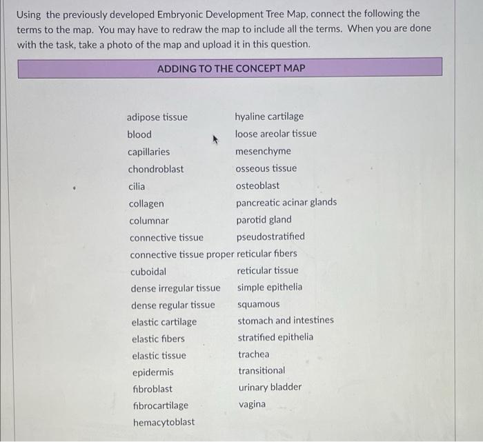 Using The Previously Developed Embryonic Development Tree Map Connect The Following The Terms To The Map You May Have 1
