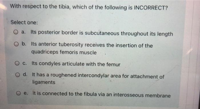 With Respect To The Tibia Which Of The Following Is Incorrect Select One O A Its Posterior Border Is Subcutaneous Th 1