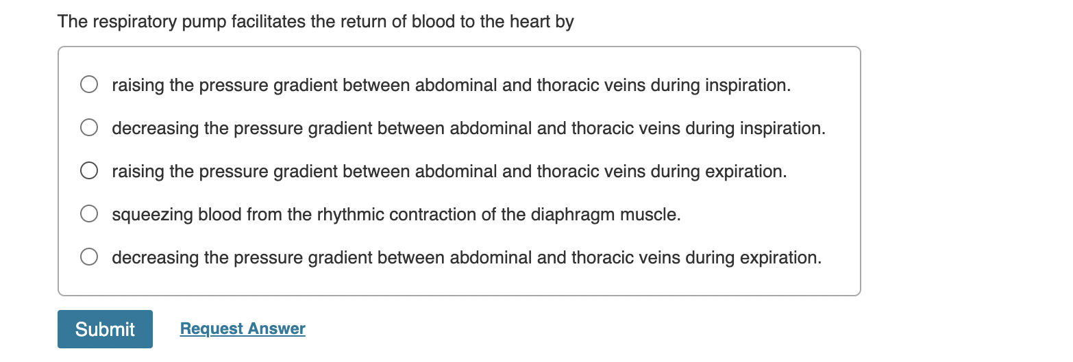 The Respiratory Pump Facilitates The Return Of Blood To The Heart By Raising The Pressure Gradient Between Abdominal And 1