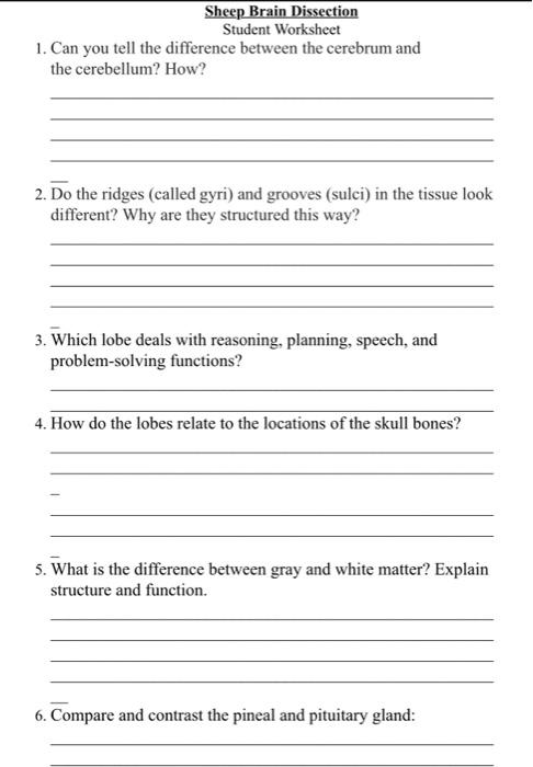 Sheep Brain Dissection Student Worksheet 1 Can You Tell The Difference Between The Cerebrum And The Cerebellum How 2 1