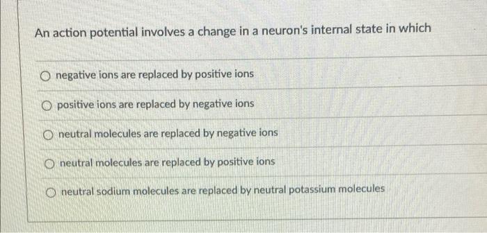 An Action Potential Involves A Change In A Neuron S Internal State In Which Onegative Ions Are Replaced By Positive Ions 1