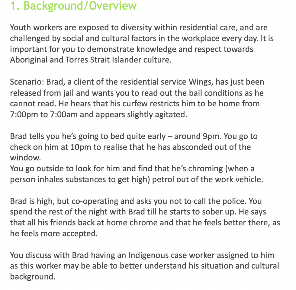 1 Background Overview Youth Workers Are Exposed To Diversity Within Residential Care And Are Challenged By Social And 1