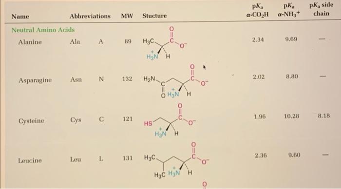 1 A Draw The Structure Of R Leucine See Table 1 Onto The Fischer Projection Template Below B Is This The D Or 2