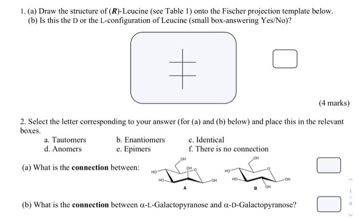 1 A Draw The Structure Of R Leucine See Table 1 Onto The Fischer Projection Template Below B Is This The D Or 1