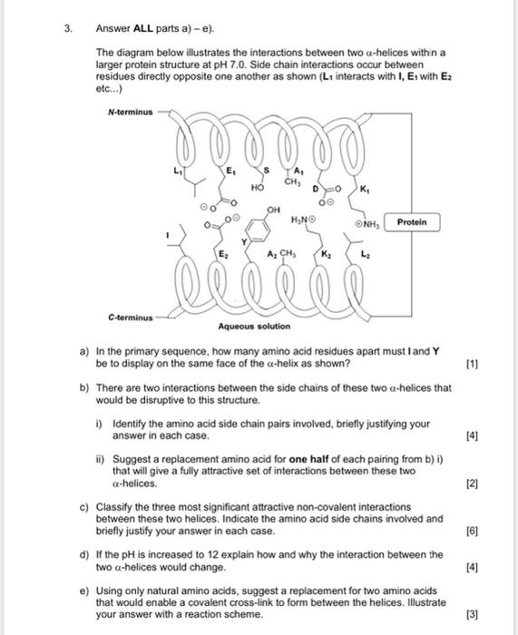 3 Answer All Parts A E The Diagram Below Illustrates The Interactions Between Two A Helices Within A Larger Protein 1
