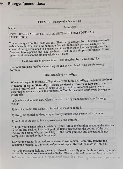 Energyofpeanut Docx Chem 121 Energy Of A Peanut Lab Name Partner S Note If You Are Allergic To Nuts Inform Your Lab 1