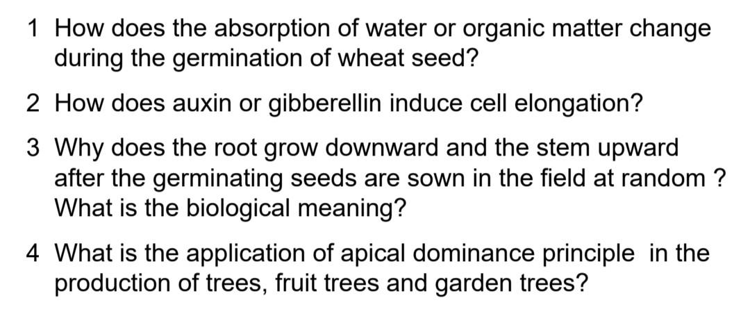 1 How Does The Absorption Of Water Or Organic Matter Change During The Germination Of Wheat Seed 2 How Does Auxin Or Gi 1
