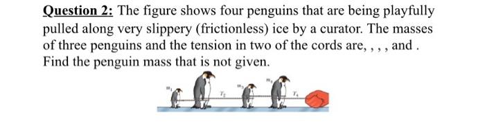 Question 2 The Figure Shows Four Penguins That Are Being Playfully Pulled Along Very Slippery Frictionless Ice By A C 2