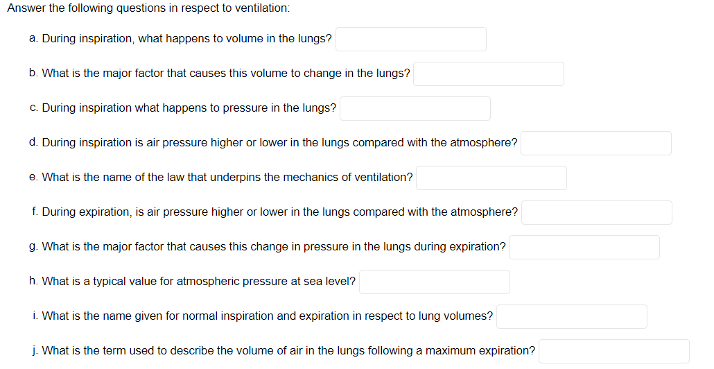 Answer The Following Questions In Respect To Ventilation A During Inspiration What Happens To Volume In The Lungs B 1