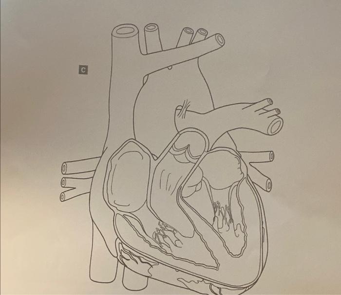 Need Help With Only Coloring Portion Will Give Thimbs Up 1