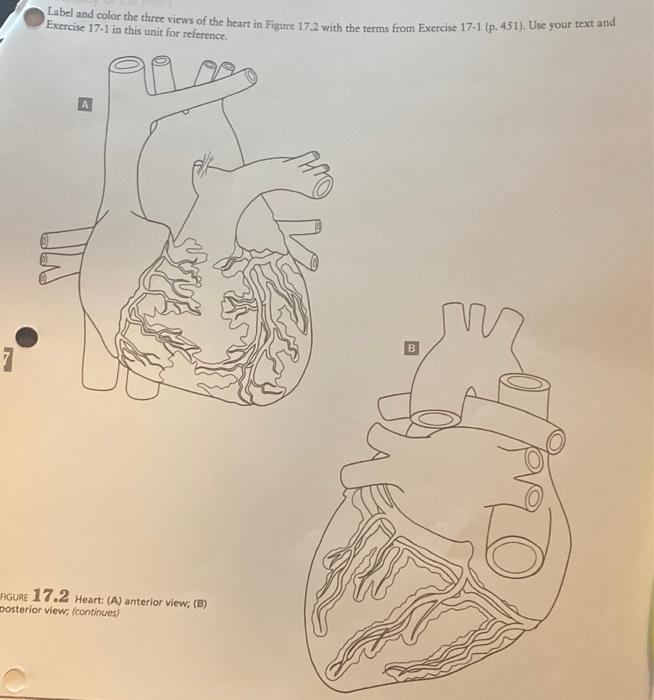 Need Help With Only Coloring Portion Will Give Thimbs Up 2