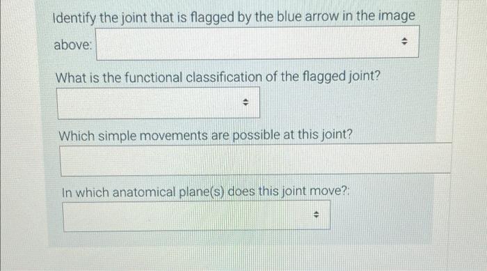 Unknown Hand Unknown 0032970 R Ah R Ah Son67 12 19167 12 Selende Identify The Joint That Is Flagged By The Blue Arrow I 2