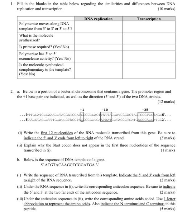 1 Fill In The Blanks In The Table Below Regarding The Similarities And Differences Between Dna Replication And Transcri 1