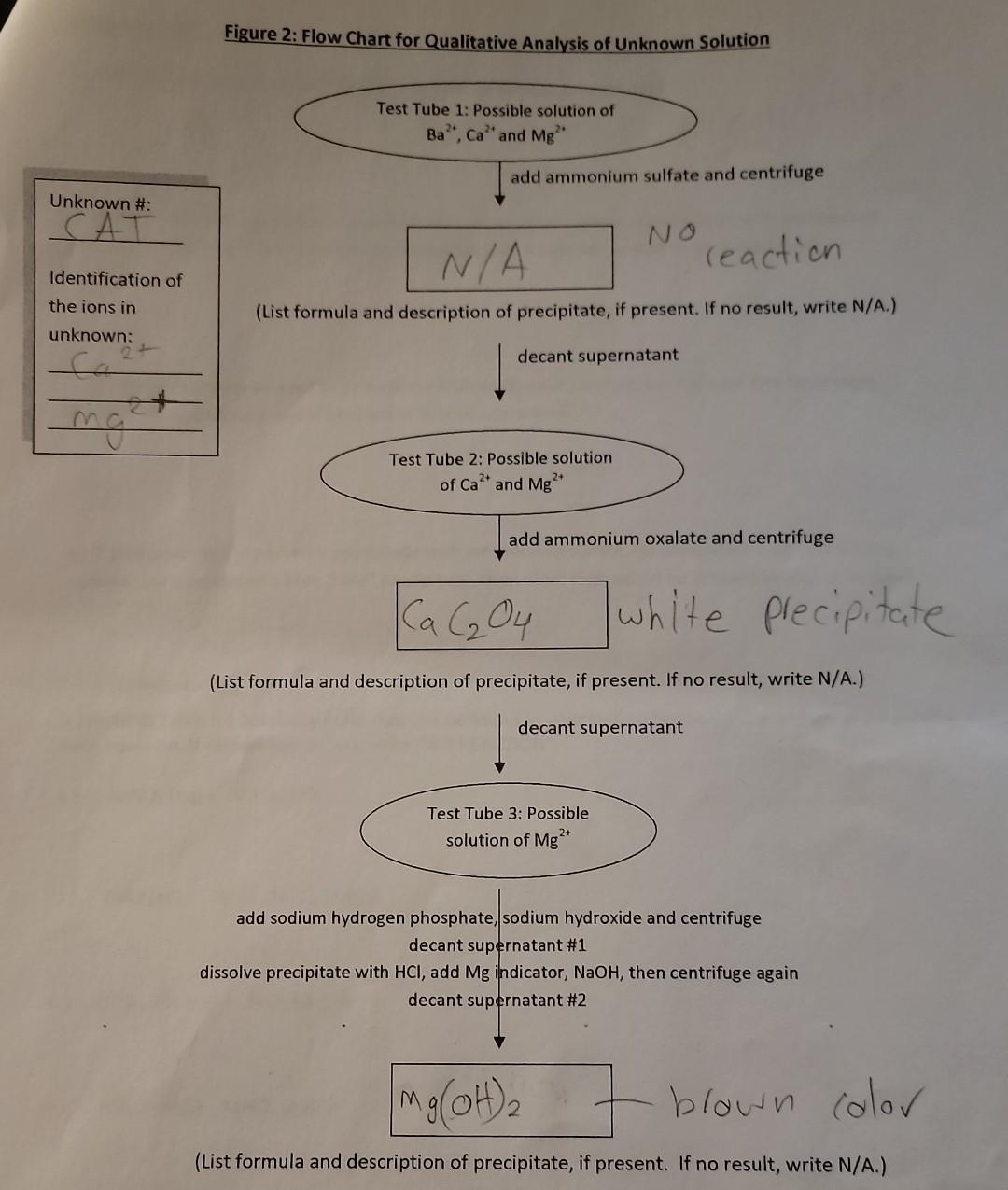 Figure 1 Flow Chart For Qualitative Analysis Of Known Cations Test Tube 1 Solution Of 2 Ba Ca And Mg Ba Soy L 2