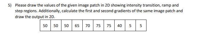 5 Please Draw The Values Of The Given Image Patch In 2d Showing Intensity Transition Ramp And Step Regions Additional 1