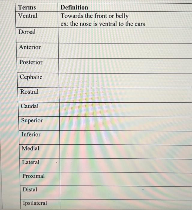 Terms Ventral Dorsal Anterior Posterior Cephalic Rostral Caudal Superior Inferior Medial Lateral Proximal Distal Ipsilat 1