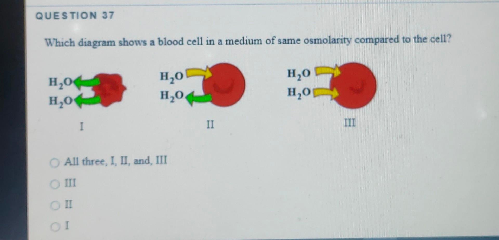 Question 37 Which Diagram Shows A Blood Cell In A Medium Of Same Osmolarity Compared To The Cell Ho H20 H2o H20 1 0 H20 1