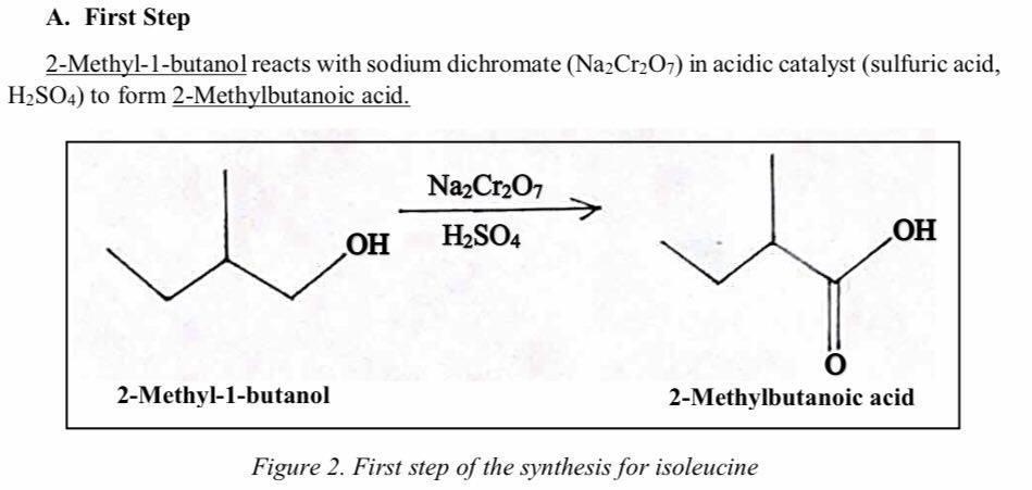Make A Laboratory Procedure In Which It Explains The Synthesis Of Isoleucine Explain The Materials Used As Well As The 1