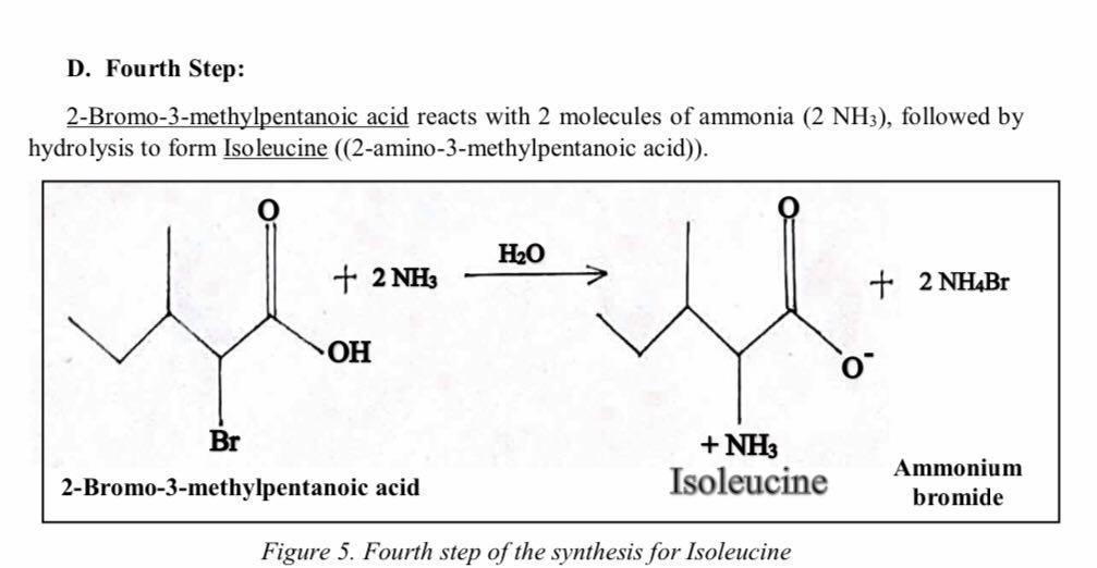 Make A Laboratory Procedure In Which It Explains The Synthesis Of Isoleucine Explain The Materials Used As Well As The 4