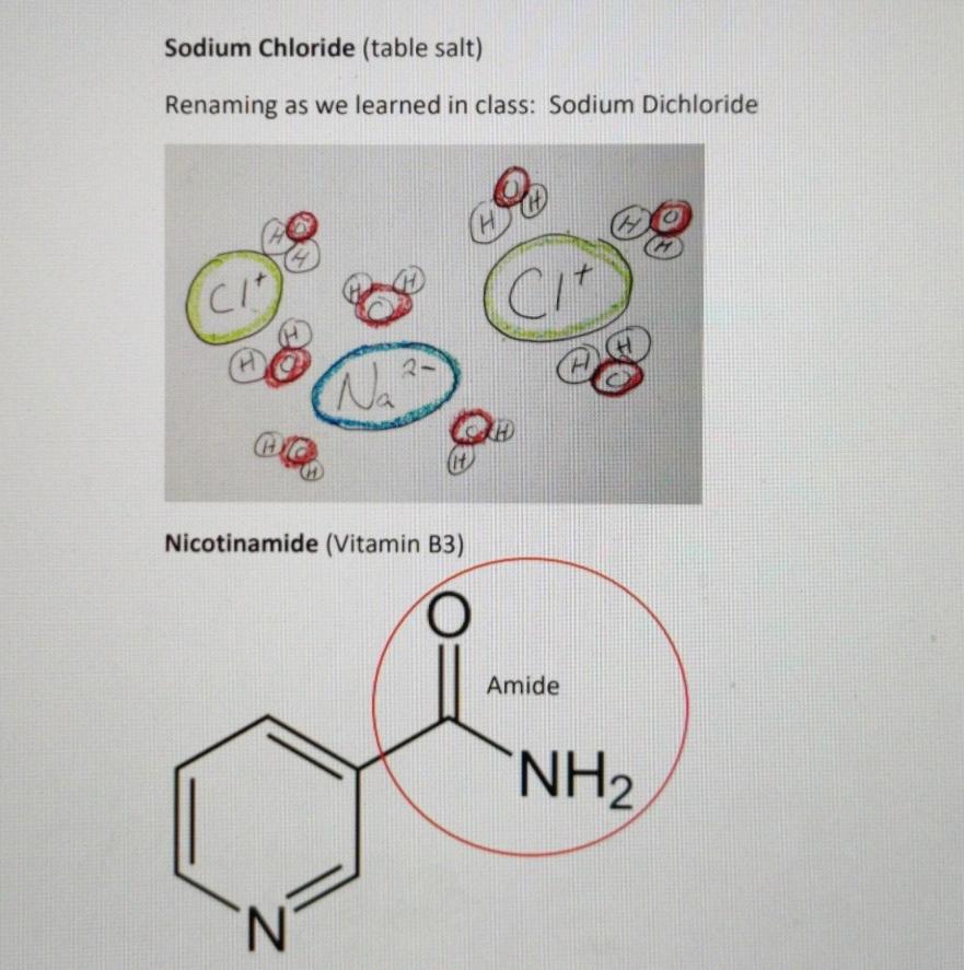 Sodium Chloride Table Salt Renaming As We Learned In Class Sodium Dichloride Co Cit Cit Ce 2 Na O Kh Nicotinamide Vi 1