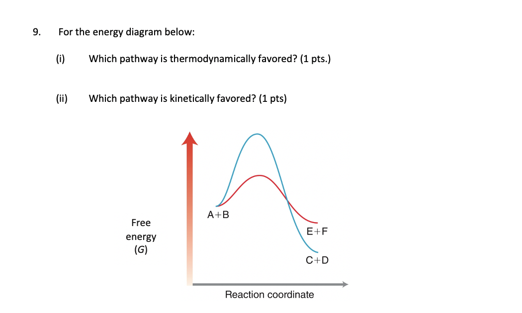 9 For The Energy Diagram Below I Which Pathway Is Thermodynamically Favored 1 Pts Ii Which Pathway Is Kinetica 1