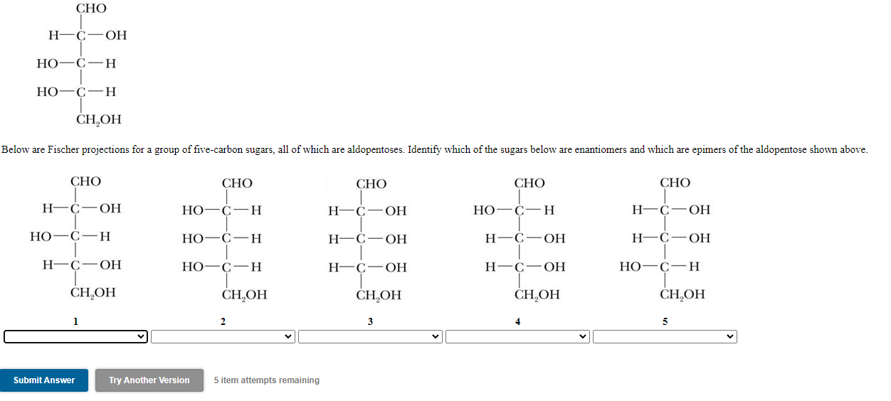 Cho H C Oh Ho C H Ho Ch Ch Oh Below Are Fischer Projections For A Group Of Five Carbon Sugars All Of Which Are Aldopent 1