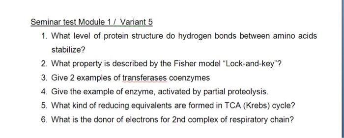 Seminar Test Module 1 Variant 5 1 What Level Of Protein Structure Do Hydrogen Bonds Between Amino Acids Stabilize 2 1