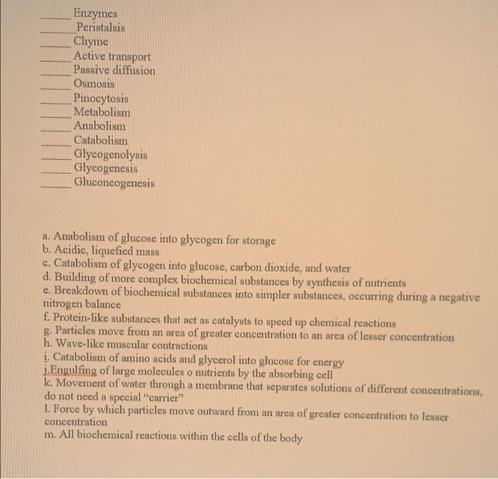 Enzymes Peristalsis Chyme Active Transport Passive Diffusion Osmosis Pinocytosis Metabolism Anabolism Catabolism Glycoge 1