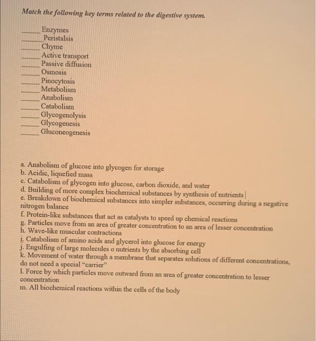Match The Following Key Terms Related To The Digestive System Enzymes Peristalsis Chyme Active Transport Passive Diffus 1