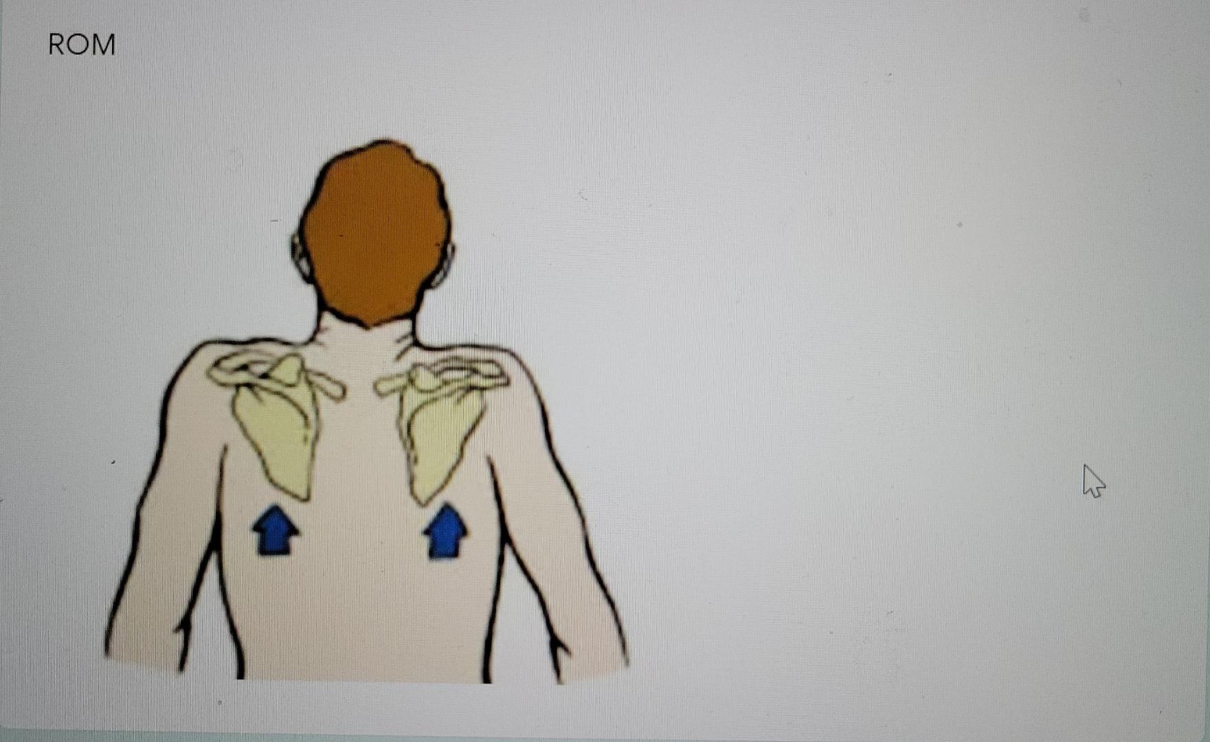 Rom And Verbal Cues For The Mentioned Rom 1