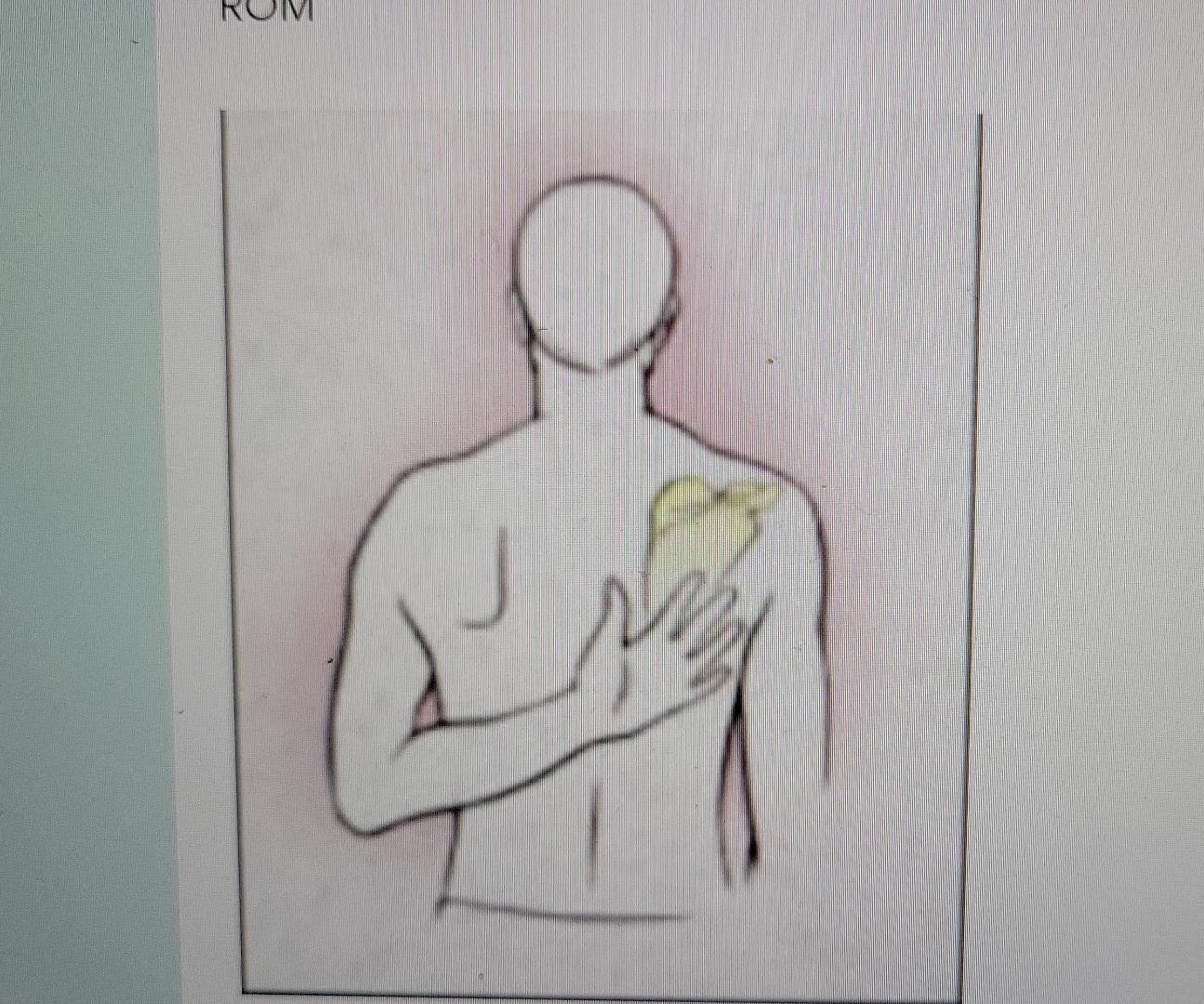 Rom And Verbal Cues For The Mentioned Rom 2