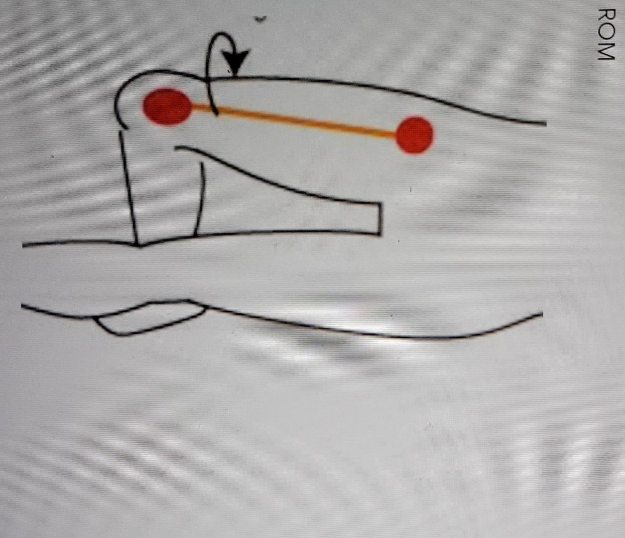 Rom And Verbal Cues Of The Mentioned Rom 1