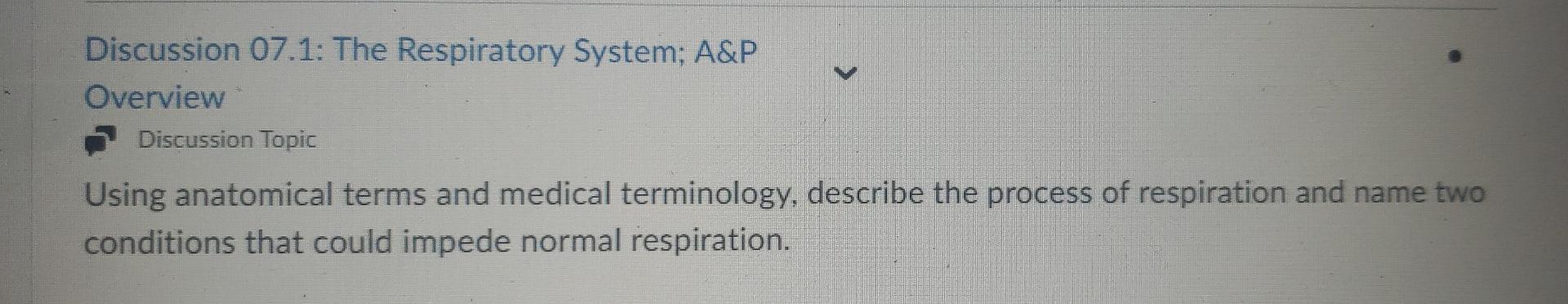 Discussion 07 1 The Respiratory System A P Overview Discussion Topic Using Anatomical Terms And Medical Terminology D 1