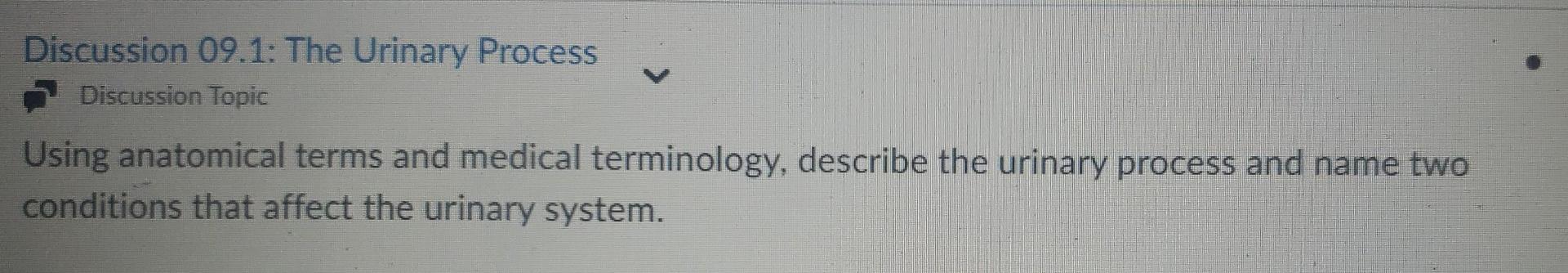 Discussion 09 1 The Urinary Process Discussion Topic Using Anatomical Terms And Medical Terminology Describe The Urina 1