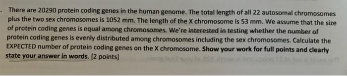 There Are 20290 Protein Coding Genes In The Human Genome The Total Length Of All 22 Autosomal Chromosomes Plus The Tw 1