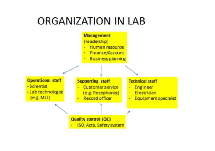 Organization In Lab Management Leadership Human Resource Finance Account Business Planning Operational Staff Scient 1