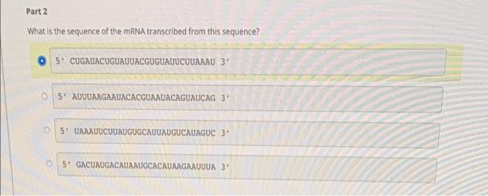 This Is A Double Stranded Dna Sequence With No Introns That Codes For A Small Protein This Is A Hypothetical Example 2