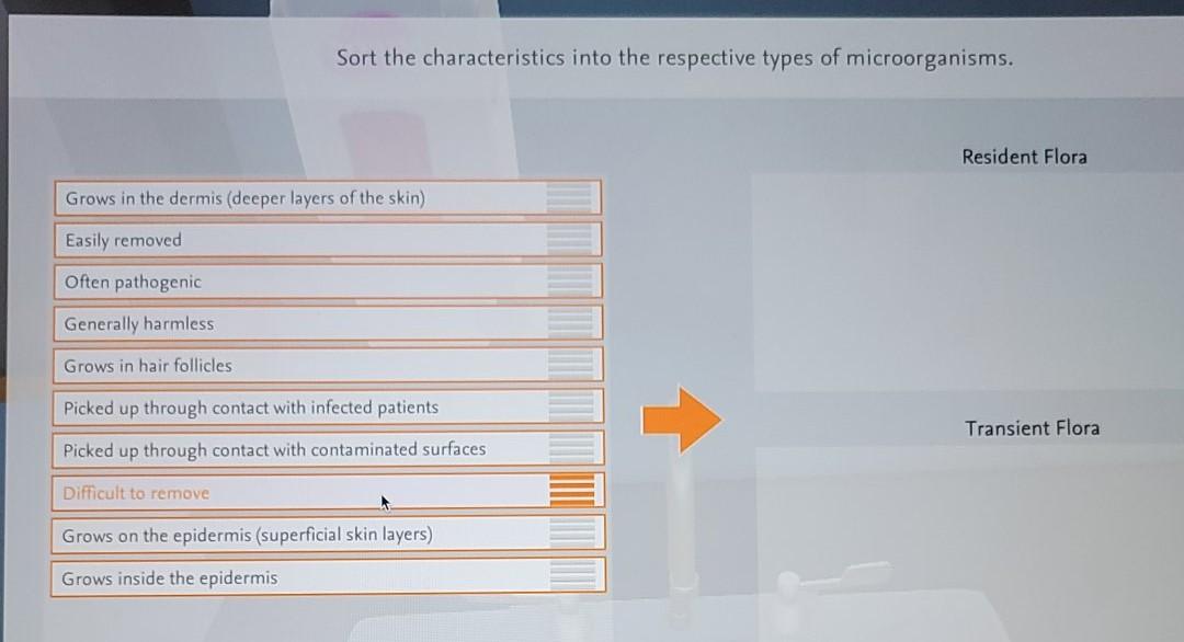 Sort The Characteristics Into The Respective Types Of Microorganisms Resident Flora Grows In The Dermis Deeper Layers 1