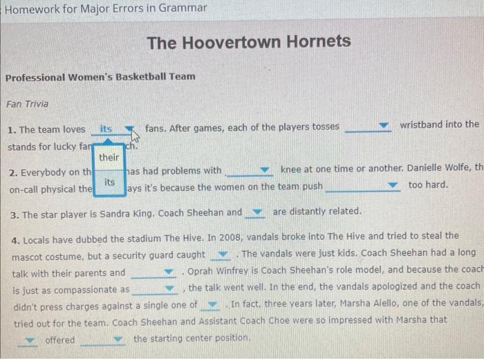 Homework For Major Errors In Grammar The Hoovertown Hornets Professional Women S Basketball Team Fan Trivia 1 The Team 1