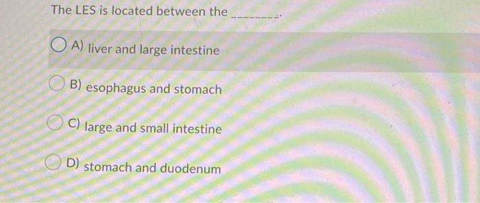 B6 A Patient With Polyphagia Has A Pain When Swallowing B A Condition Of Much Eating C A Condition Of Painful Eating 17