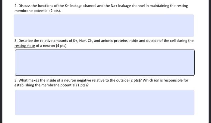 2 Discuss The Functions Of The K Leakage Channel And The Na Leakage Channel In Maintaining The Resting Membrane Poten 1