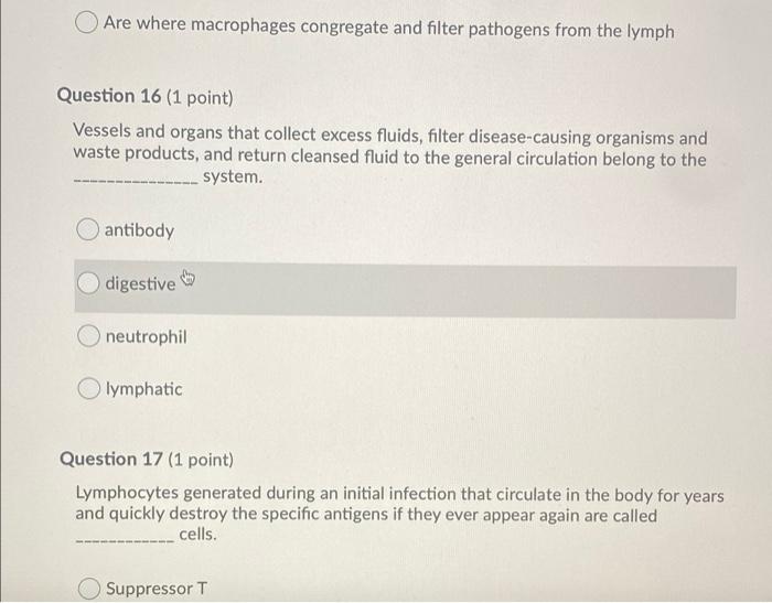 Question 14 1 Point Antibodies Have Complementary Surface Markers That Work With And Key Like A Lock Antigens T Cells 2