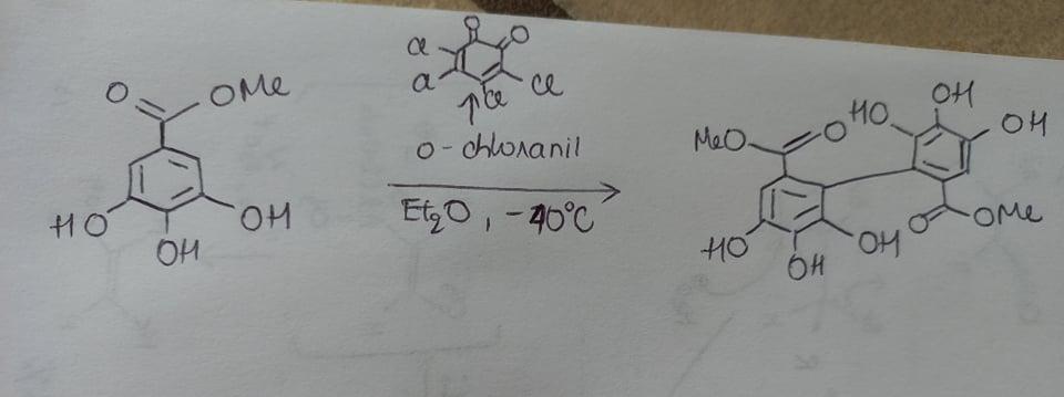 Please Explain In Details The Mechanism Of This Oxidative Coupling Reaction Using O Chloranil And Et2o At 40 C Why Doe 1